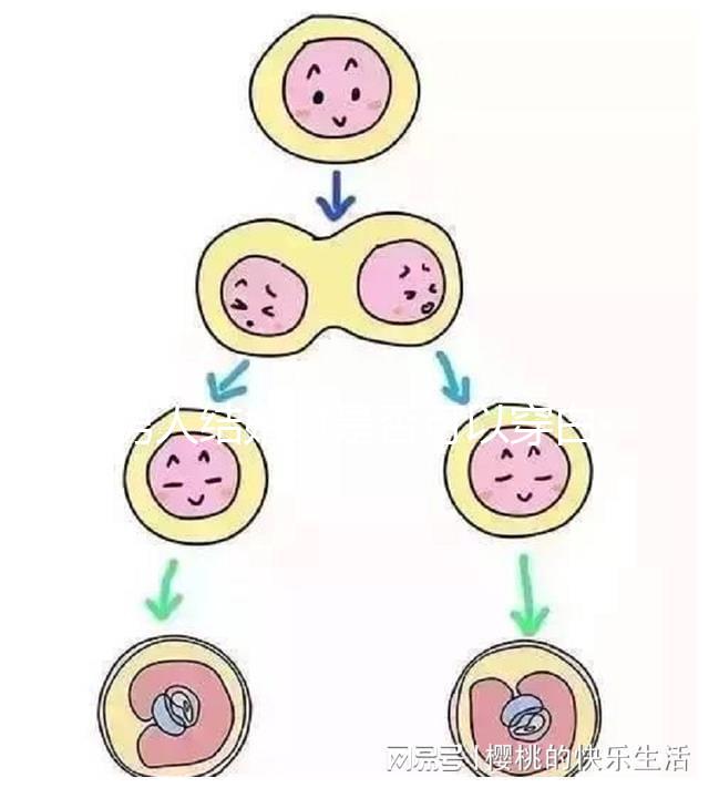 男人結(jié)婚時(shí)是否可以穿白色鞋子和白色西裝進(jìn)行分析，看看對(duì)誰不利