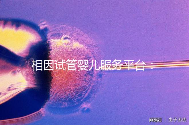 相因試管嬰兒服務平臺:讓每個人都有做父母的權利