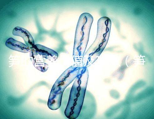 筍的營養(yǎng)價值及功效（筍的營養(yǎng)價值及功效與作用）