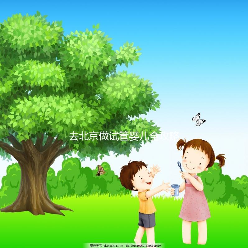 去北京做試管嬰兒全攻略:費用明細、醫(yī)院選擇及成功率分析