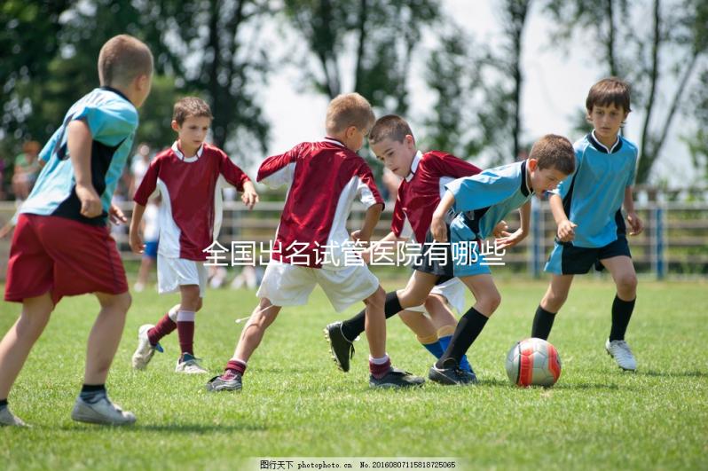 全國出名試管醫(yī)院有哪些?2025年全球領(lǐng)先機(jī)構(gòu)榜單!