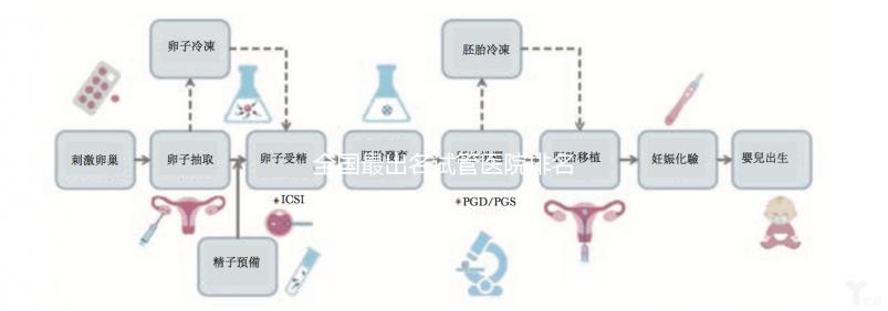 全國最出名試管醫院排名前5，內附試管費用及成功率一覽