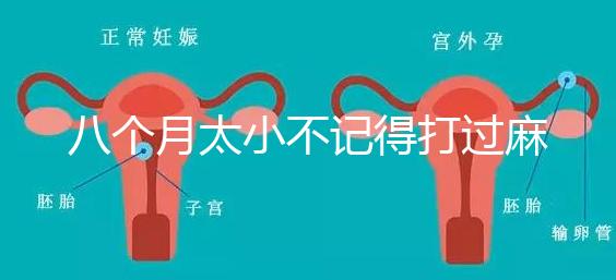 八個(gè)月太小不記得打過麻風(fēng)疫苗看這，2大反應(yīng)教你辨別