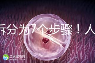 共拆分為7個步驟！人工授精自然周期流程全解