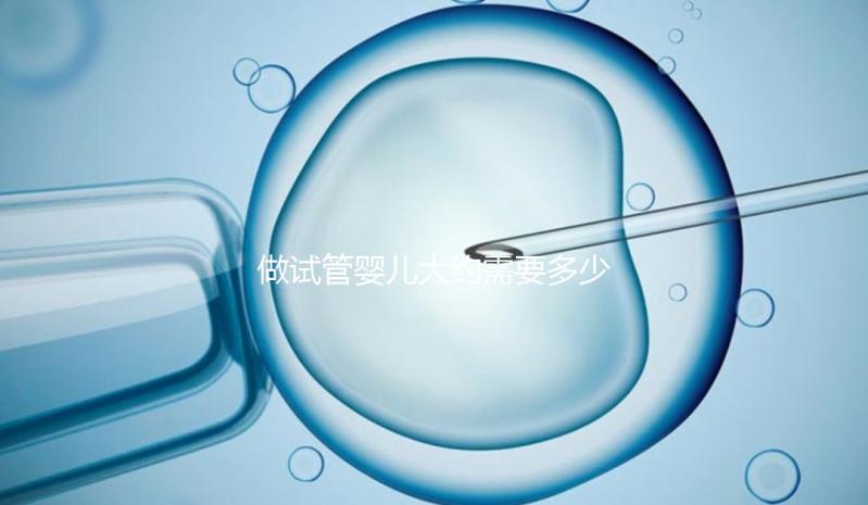 做試管嬰兒大約需要多少費(fèi)用