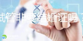 做試管非要結(jié)婚證嗎?試管是不是需要結(jié)婚證