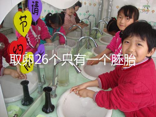 取卵26個只有一個胚胎成功率不低，次月移植凍胚易著床