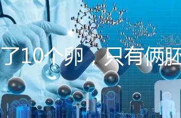 取了10個(gè)卵，只有倆胚胎？卵都去哪了？