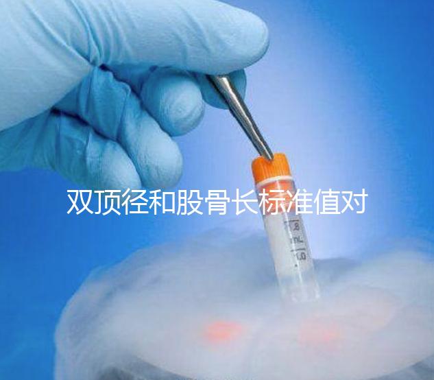 雙頂徑和股骨長標準值對照表,各懷孕周數差異明顯