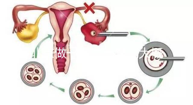 北京做一次試管嬰兒大概花多少錢？2025年價格及明細清單一覽！