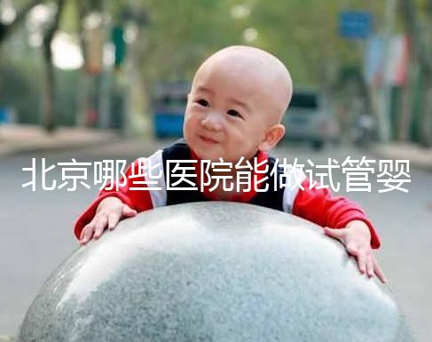 北京哪些醫院能做試管嬰兒？
