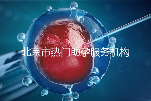 北京市熱門助孕服務(wù)機(jī)構(gòu)排名榜單！這三家性價(jià)比比較出眾！