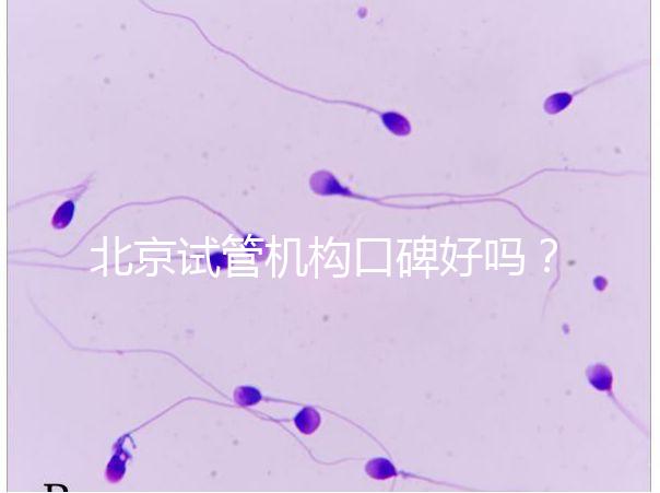 北京試管機構(gòu)口碑好嗎？哪個醫(yī)院靠譜？