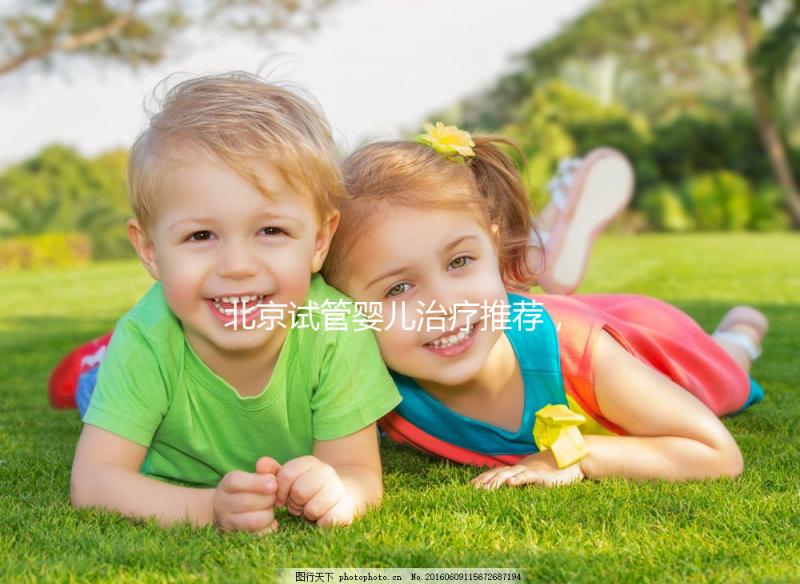 北京試管嬰兒治療推薦，權(quán)威醫(yī)院及特色服務(wù)一覽