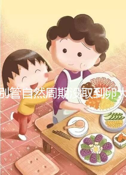 別管自然周期沒(méi)取到卵大夫當(dāng)時(shí)會(huì)不會(huì)說(shuō)了，沒(méi)通知這么辦