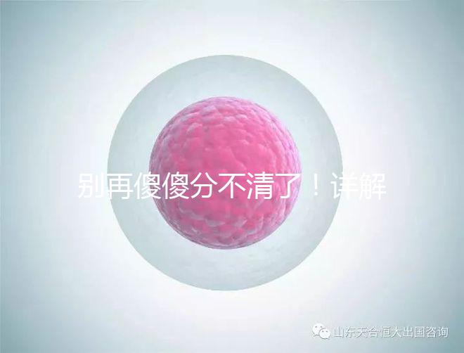 別再傻傻分不清了!詳解美國試管嬰兒和人工授精的區(qū)別