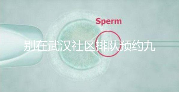 別在武漢社區(qū)排隊預約九價hpv疫苗了，在官方微信上也能搞定