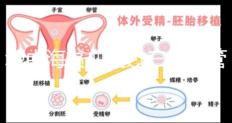 地中海貧血通過(guò)三代試管嬰兒真的可以生出健康的孩子嗎？