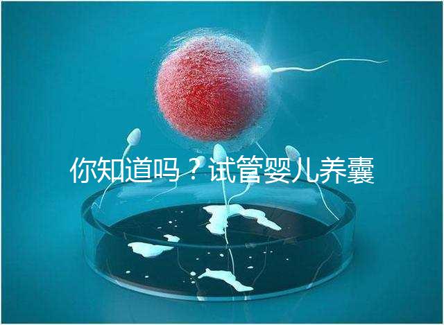 你知道嗎?試管嬰兒養(yǎng)囊的過(guò)程比“高考”更殘酷