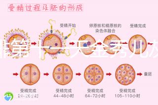 促排第十一天金秀兒灰印、白板均有希望，抽血hcg2懷孕懸