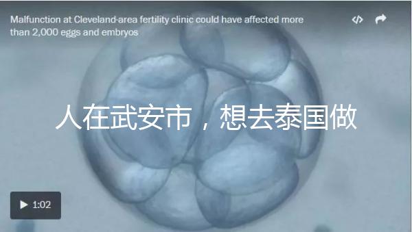 人在武安市，想去泰國做試管嬰兒生男孩要花多少錢？