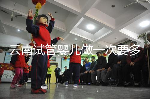 云南試管嬰兒做一次要多少錢?2024年助孕價格清單