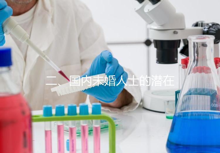 二、國內未婚人士的潛在選擇與風險