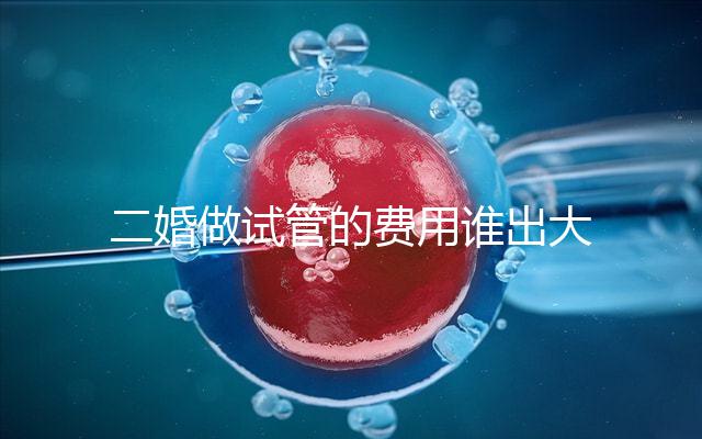 二婚做試管的費(fèi)用誰(shuí)出大揭秘!總共要花多少錢(qián)清清楚楚!