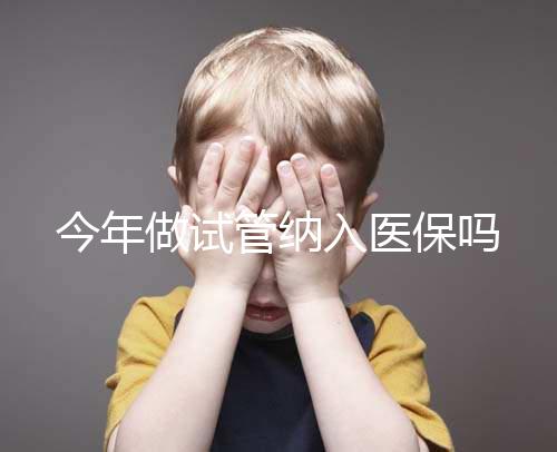 今年做試管納入醫保嗎