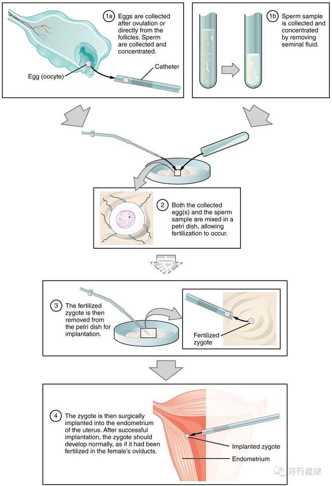 不知欽州哪家男科醫(yī)院好戳，機構(gòu)能不能一目了然