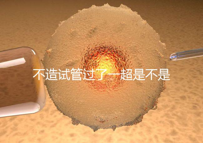 不造試管過了一超是不是就安全了,三點告訴你還會不會胎停