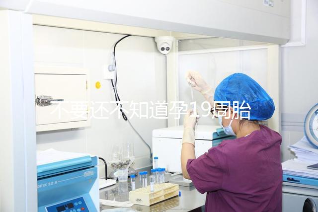 不要還不知道孕19周胎教音樂是怎么放的先聽聽有用嗎？