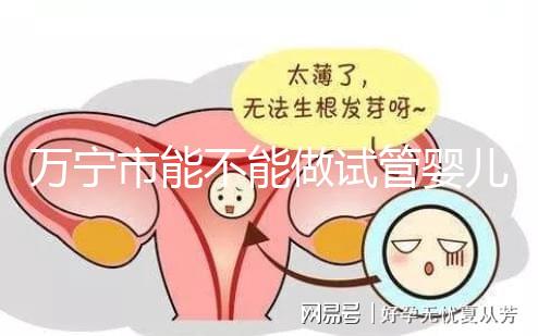 萬(wàn)寧市能不能做試管嬰兒?姐妹們都去哪里做試管?