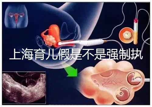 上海育兒假是不是強制執(zhí)行已明確,2024虹口區(qū)何時執(zhí)行戳