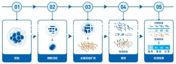 東莞有幾家試管嬰兒醫(yī)院？不同生殖中心費(fèi)用和成功率詳解