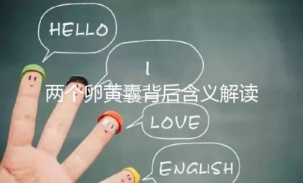 兩個卵黃囊背后含義解讀：雙胞胎、龍鳳胎都有可能！