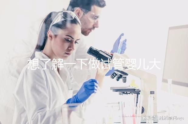 想了解一下做試管嬰兒大概需要多少錢。