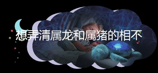 想弄清屬龍和屬豬的相不相配速覽，合得來(lái)不都幫你總結(jié)了