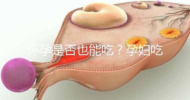 懷孕是否也能吃？孕婦吃海參小米粥的利弊分析