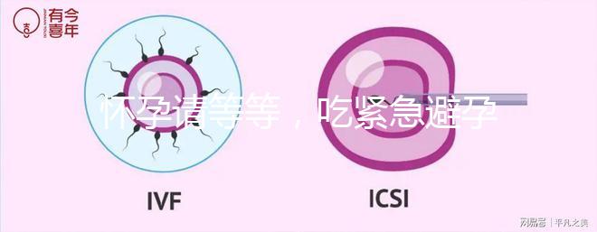 懷孕請等等，吃緊急避孕藥多久能有性生活看專家怎么說