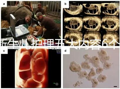 新生兒護(hù)理五大內(nèi)容6個(gè)要點(diǎn)整理,嬰兒養(yǎng)育照護(hù)干貨來(lái)了