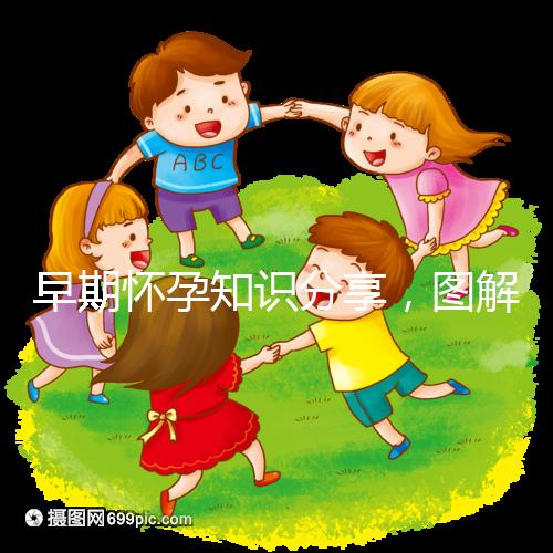 早期懷孕知識(shí)分享,圖解血塊和孕囊的區(qū)別