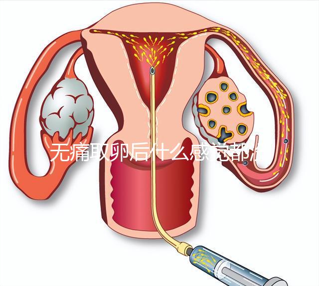 無痛取卵后什么感覺都沒有異常是謠言！只會出現一部分...