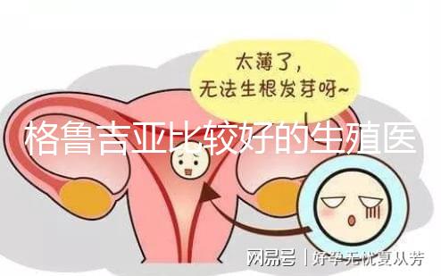 格魯吉亞比較好的生殖醫(yī)院是哪家，助孕成功率高還看這4家