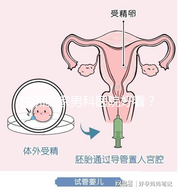 株洲哪家男科醫院好看？這位醫生的專業成本還很低