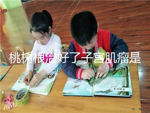 桃樹根治好了子宮肌瘤是謠言？和豬肉一起吃效果真不賴