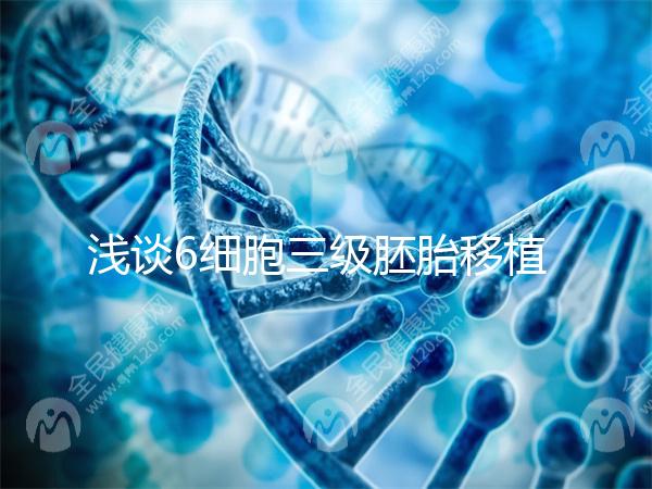 淺談6細(xì)胞三級(jí)胚胎移植成功率高低，是養(yǎng)還是移看完便知