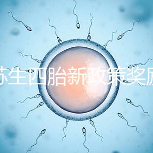 江蘇生四胎新政策獎勵多少錢瞧，2024發放標準了解下