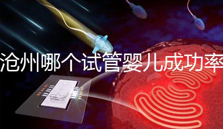 滄州哪個試管嬰兒成功率高？2024年河北生殖中心醫院排名公布
