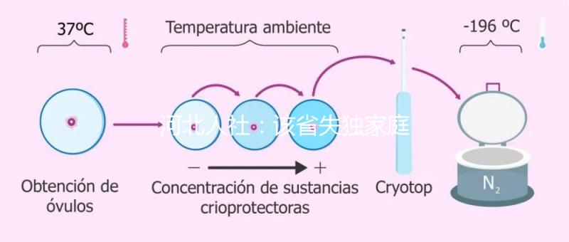 河北人社:該省失獨家庭補助金標準提升